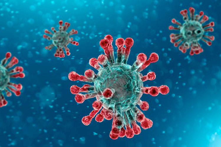 Classificazione Virus Sars-Cov-2: Nuova Direttiva Europea